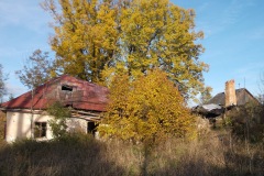 DSCN4360