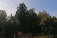 1661243791774
