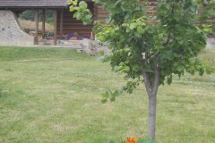 1_DSCN5379