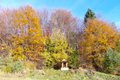 DSCN0589