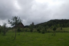 DSCN3965
