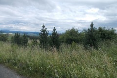 DSCN3968
