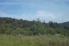 DSCN5054