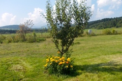 DSCN5498
