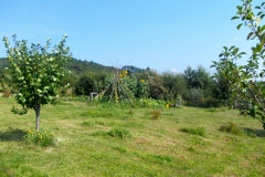 DSCN5500