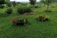 IMG_20210721_103105