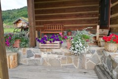 IMG_20210721_103433