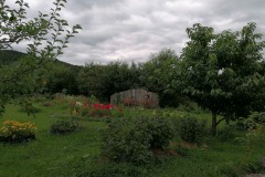 IMG_20210819_165708