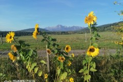 IMG_20211003_082611