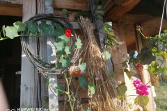 IMG_20211003_083003