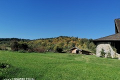 IMG_20211004_113452