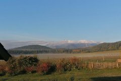 IMG_20211008_075053