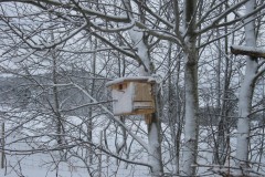 IMG_2879